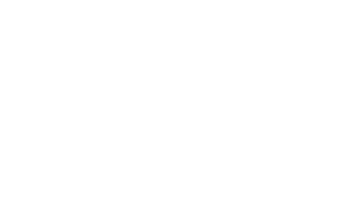 logo Flavour Manager blanc